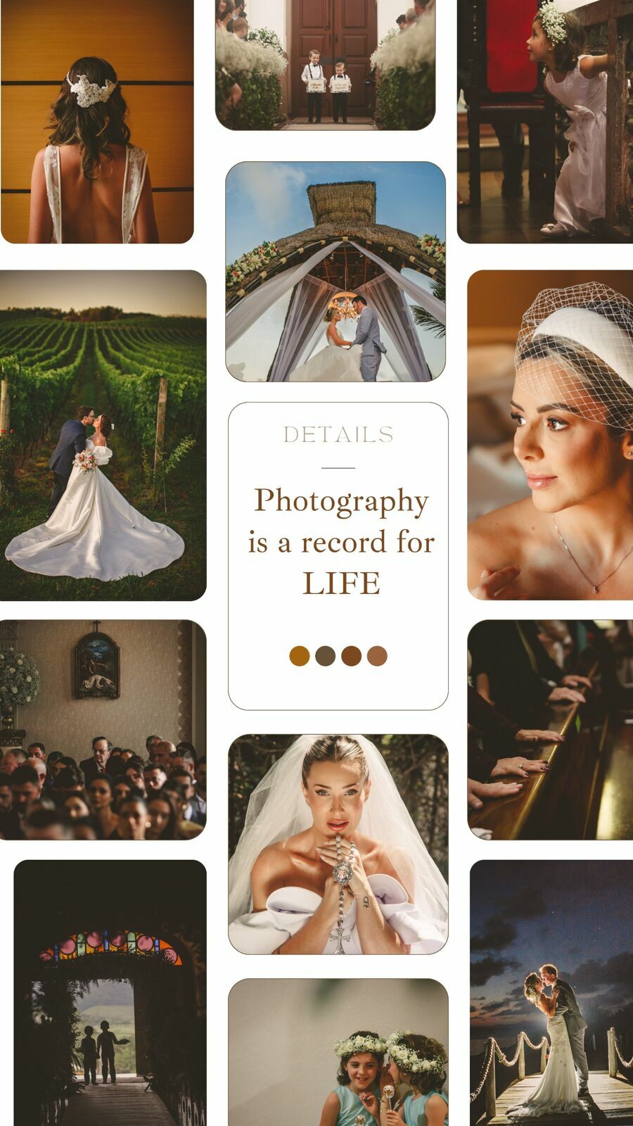 Foto Proposta Casamento - CERUTTI 2024 - Imagem 3