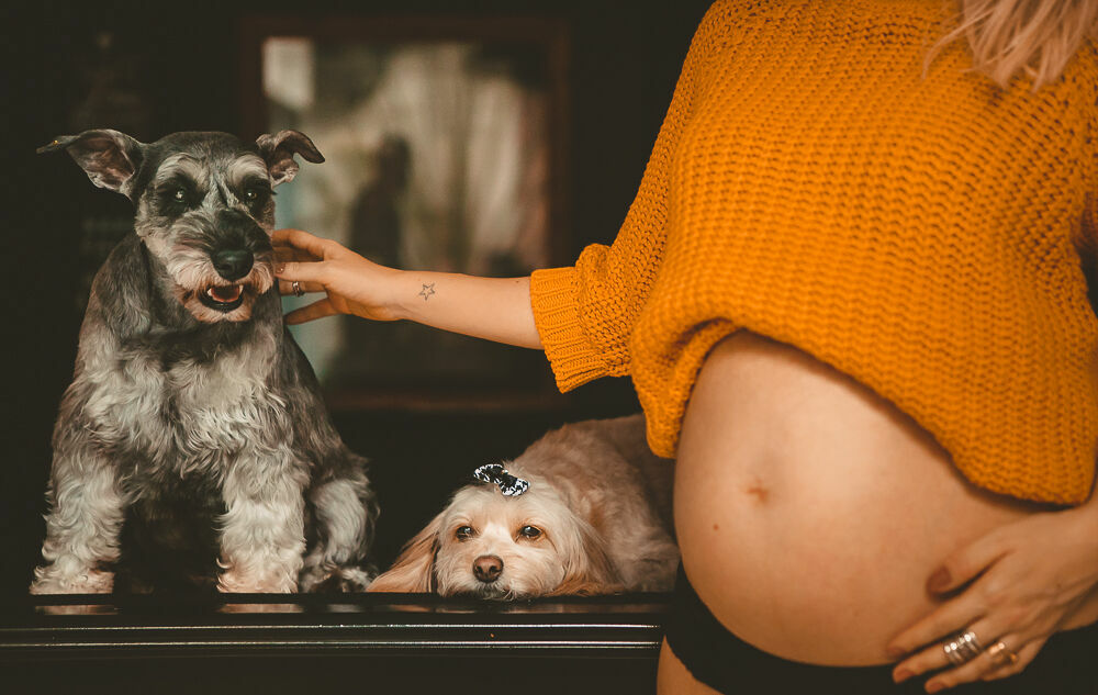 Foto Fotos de Grávida em Casa  - Bárbara e Leo - Imagem 15