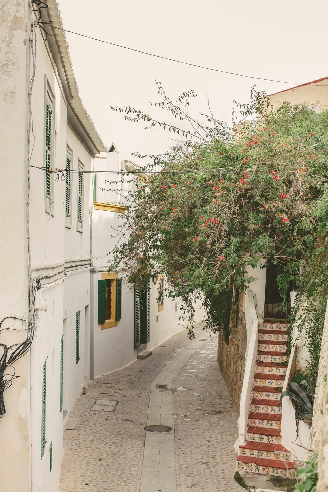 Foto Casal Cerutti em Ibiza - Imagem 17