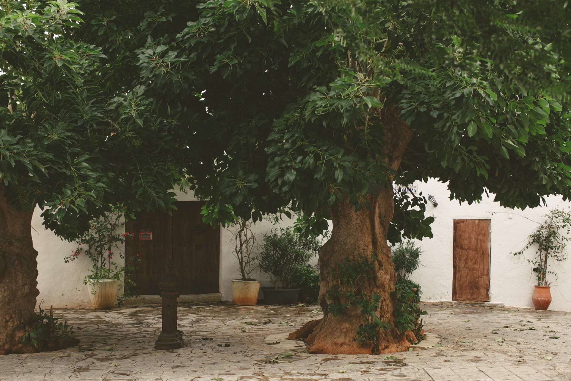 Foto Casal Cerutti em Ibiza - Imagem 14