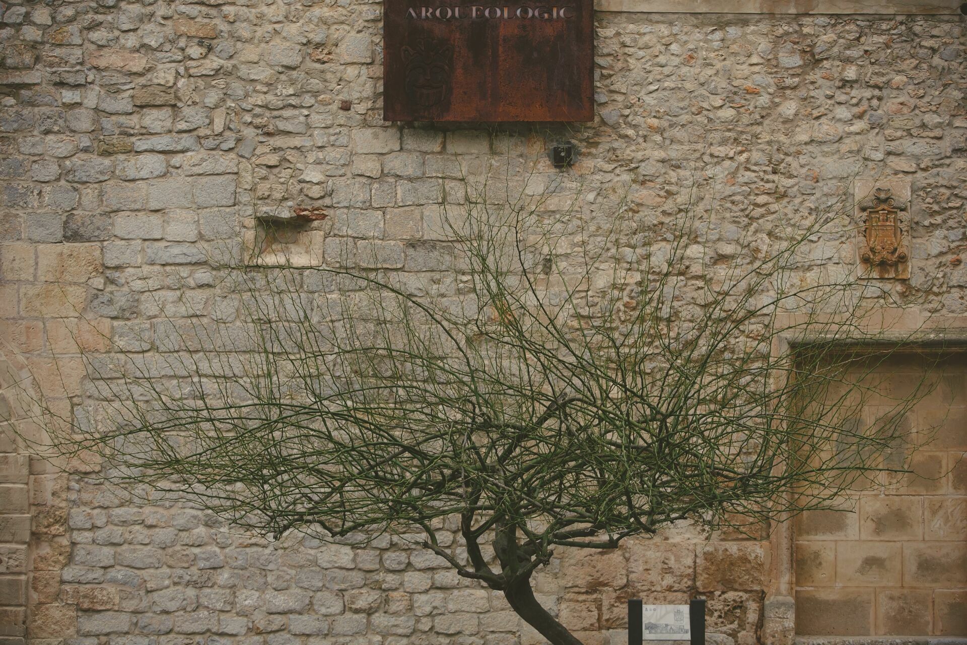 Foto Casal Cerutti em Ibiza - Imagem 3