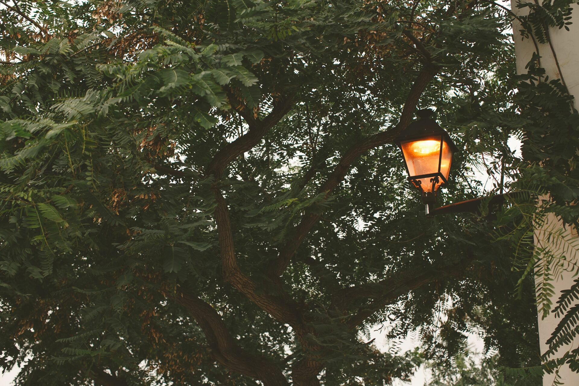 Foto Casal Cerutti em Ibiza - Imagem 12