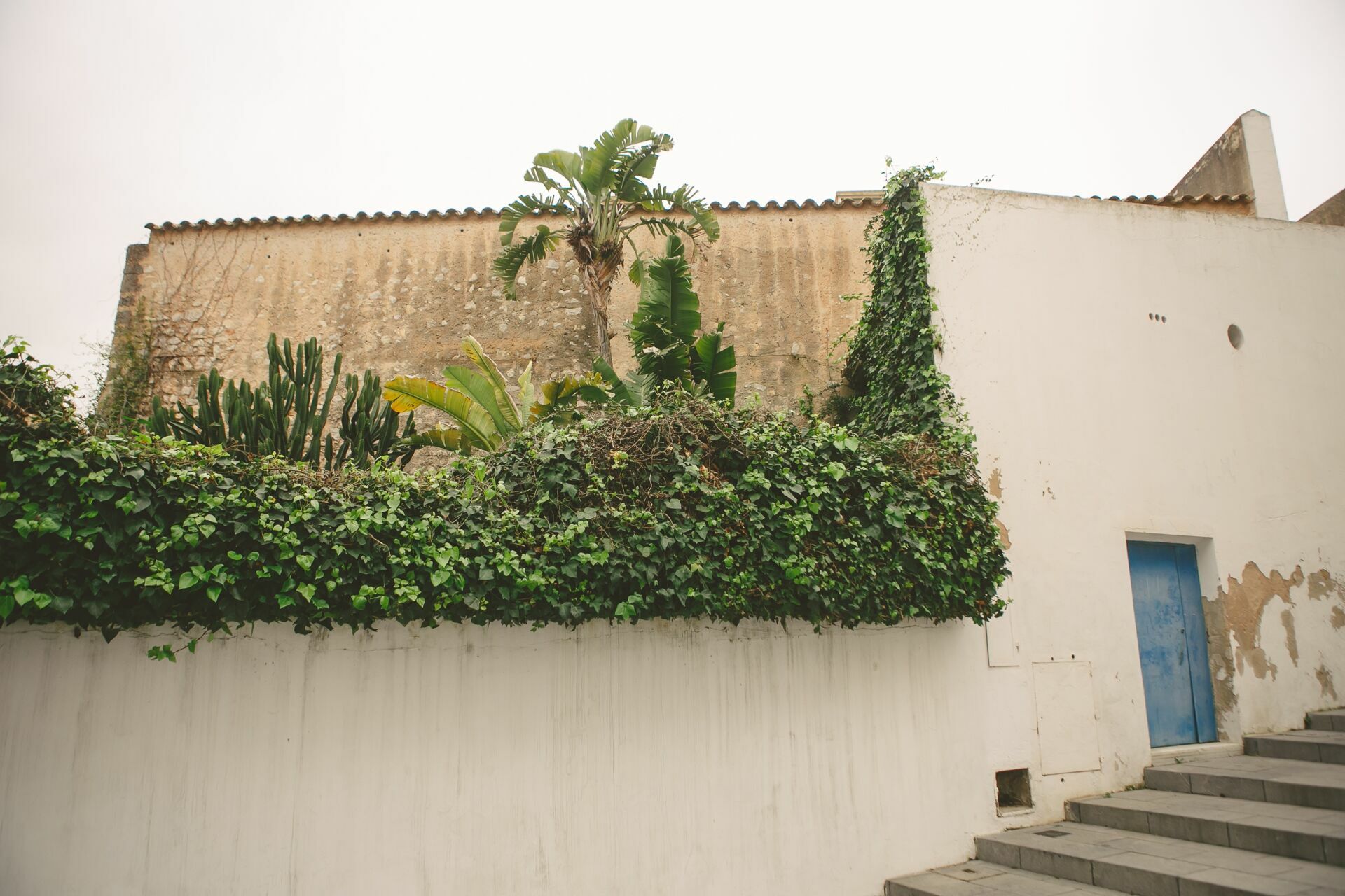 Foto Casal Cerutti em Ibiza - Imagem 6