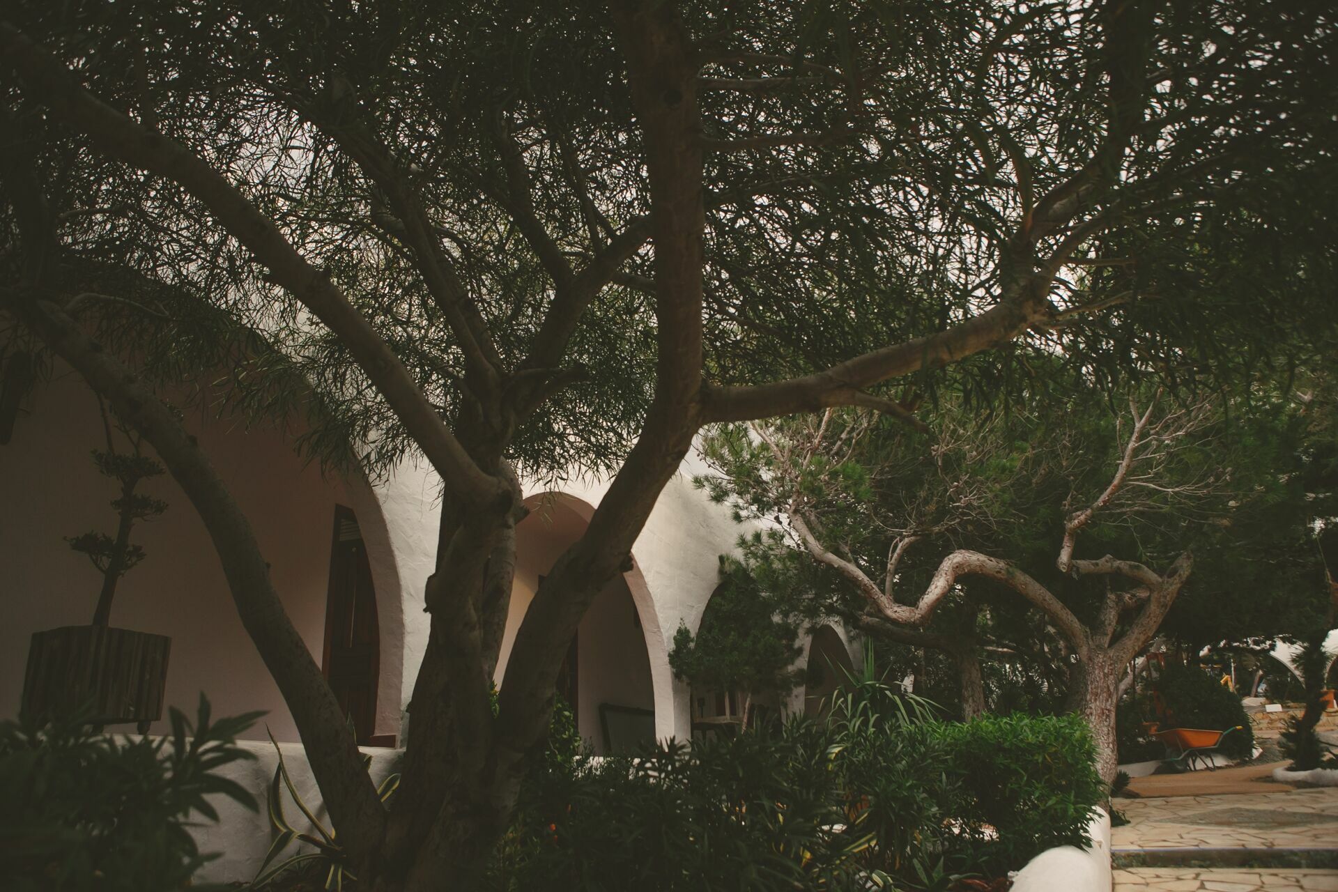 Foto Casal Cerutti em Ibiza - Imagem 58