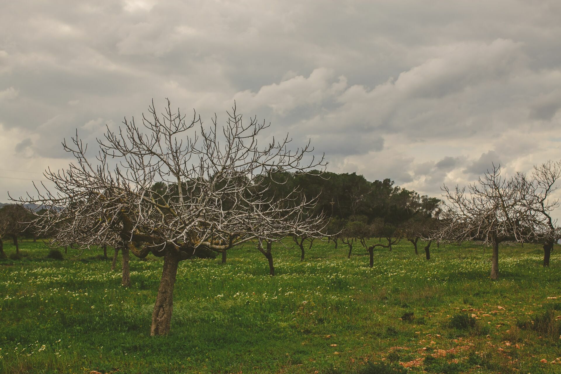 Foto Casal Cerutti em Ibiza - Imagem 46