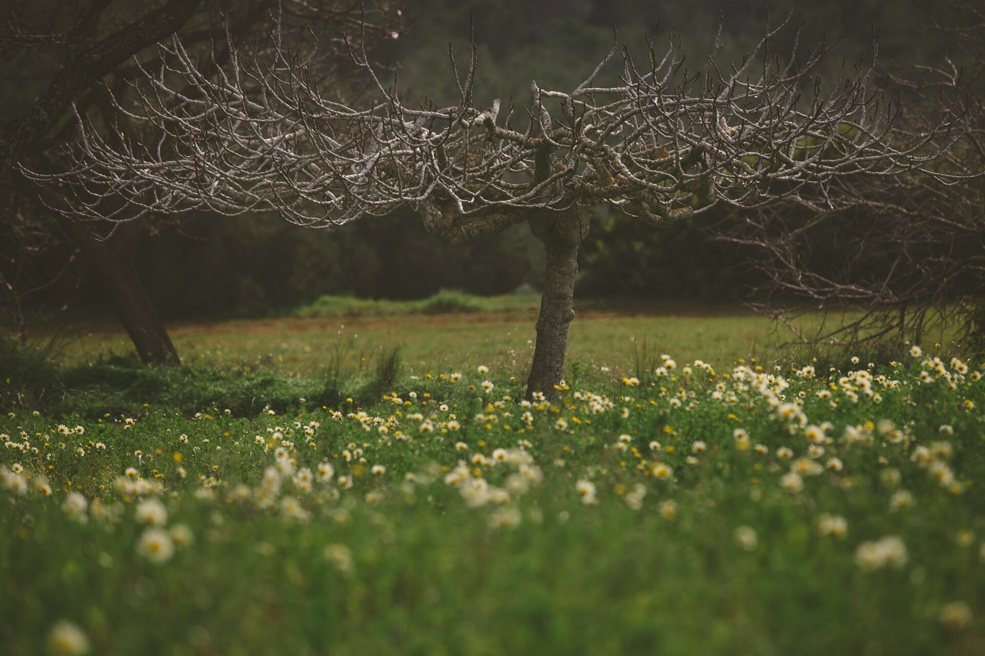 Foto Casal Cerutti em Ibiza - Imagem 50