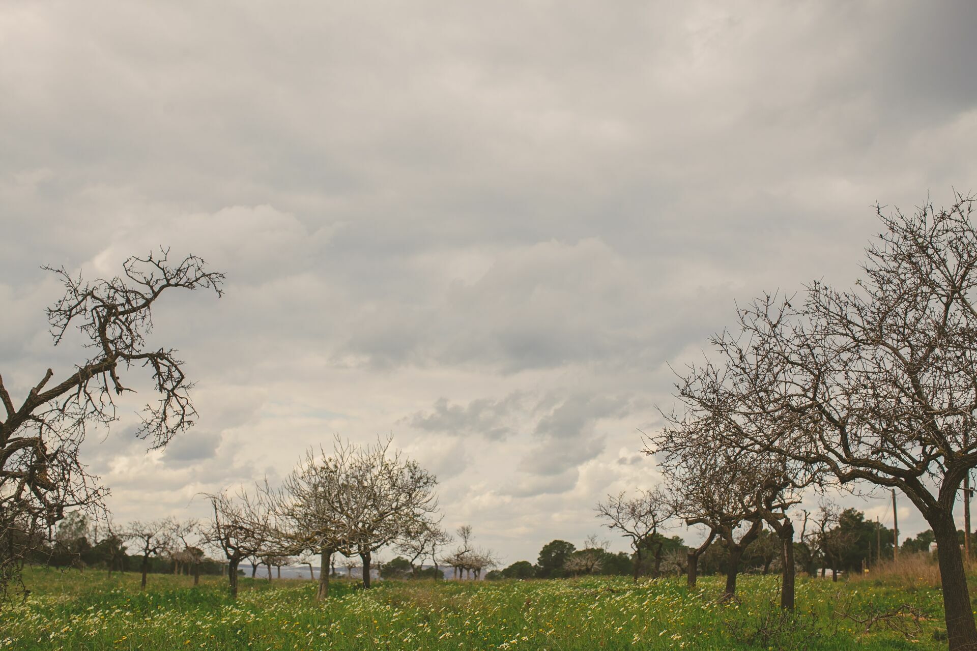 Foto Casal Cerutti em Ibiza - Imagem 45