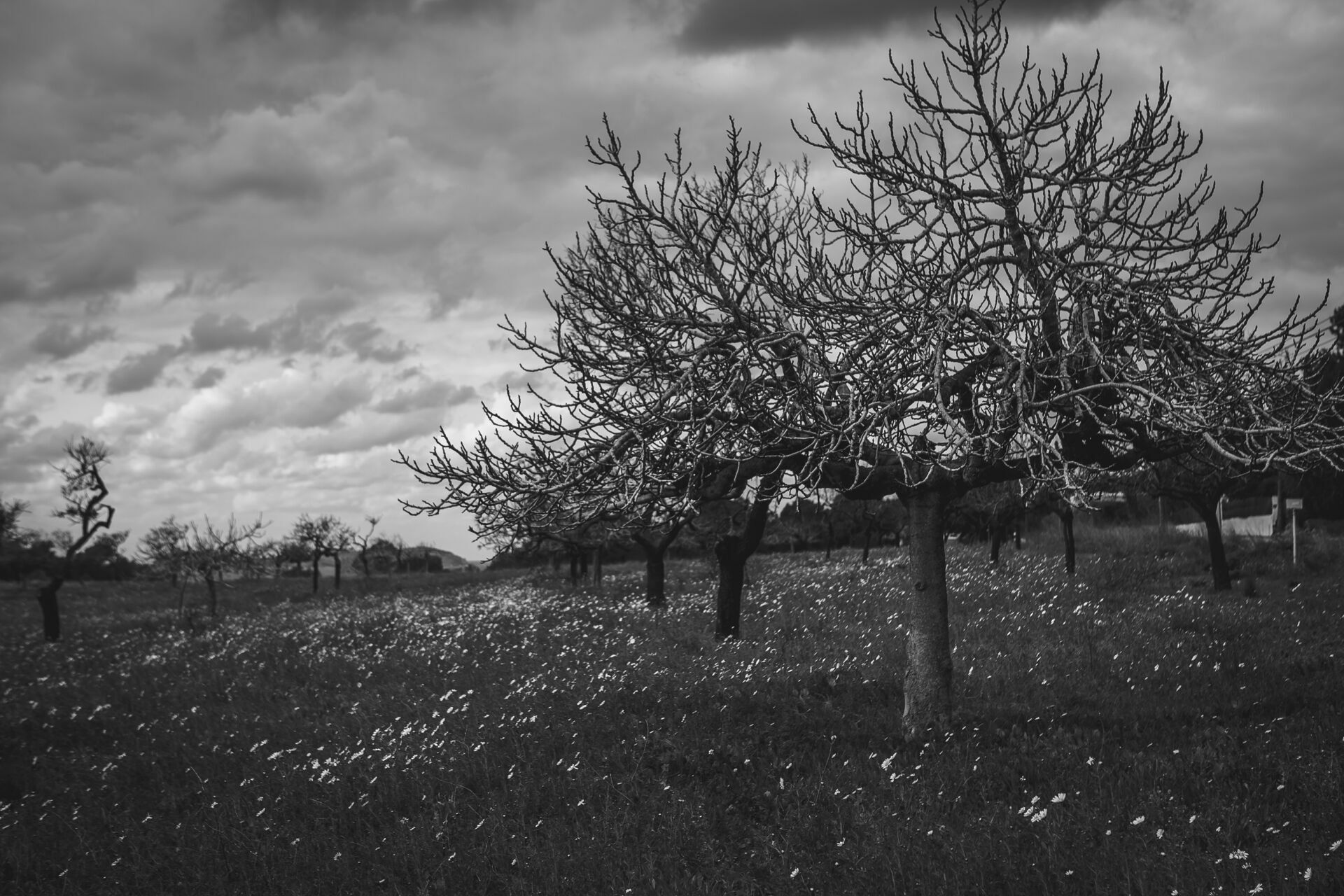 Foto Casal Cerutti em Ibiza - Imagem 47