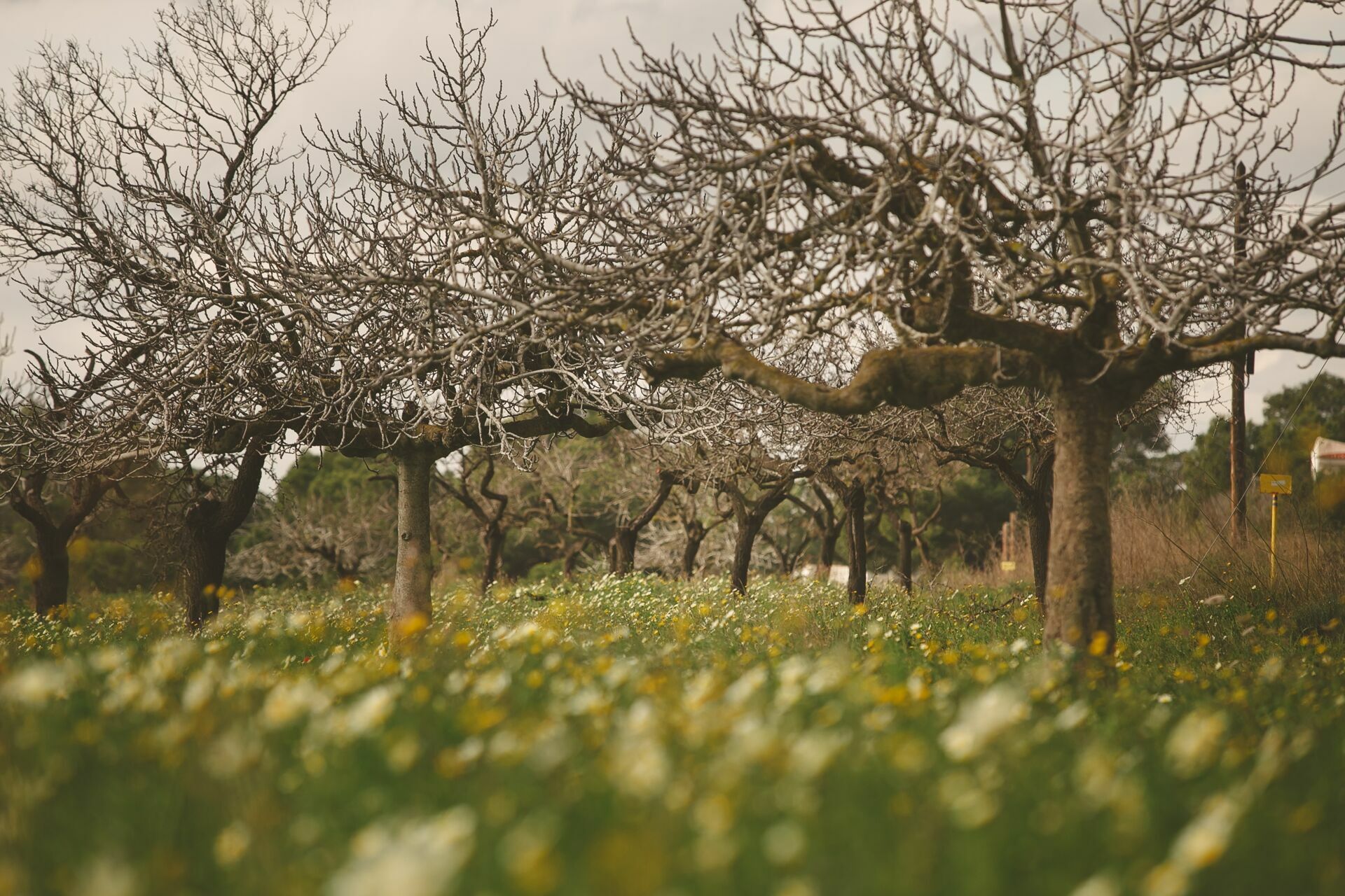 Foto Casal Cerutti em Ibiza - Imagem 48