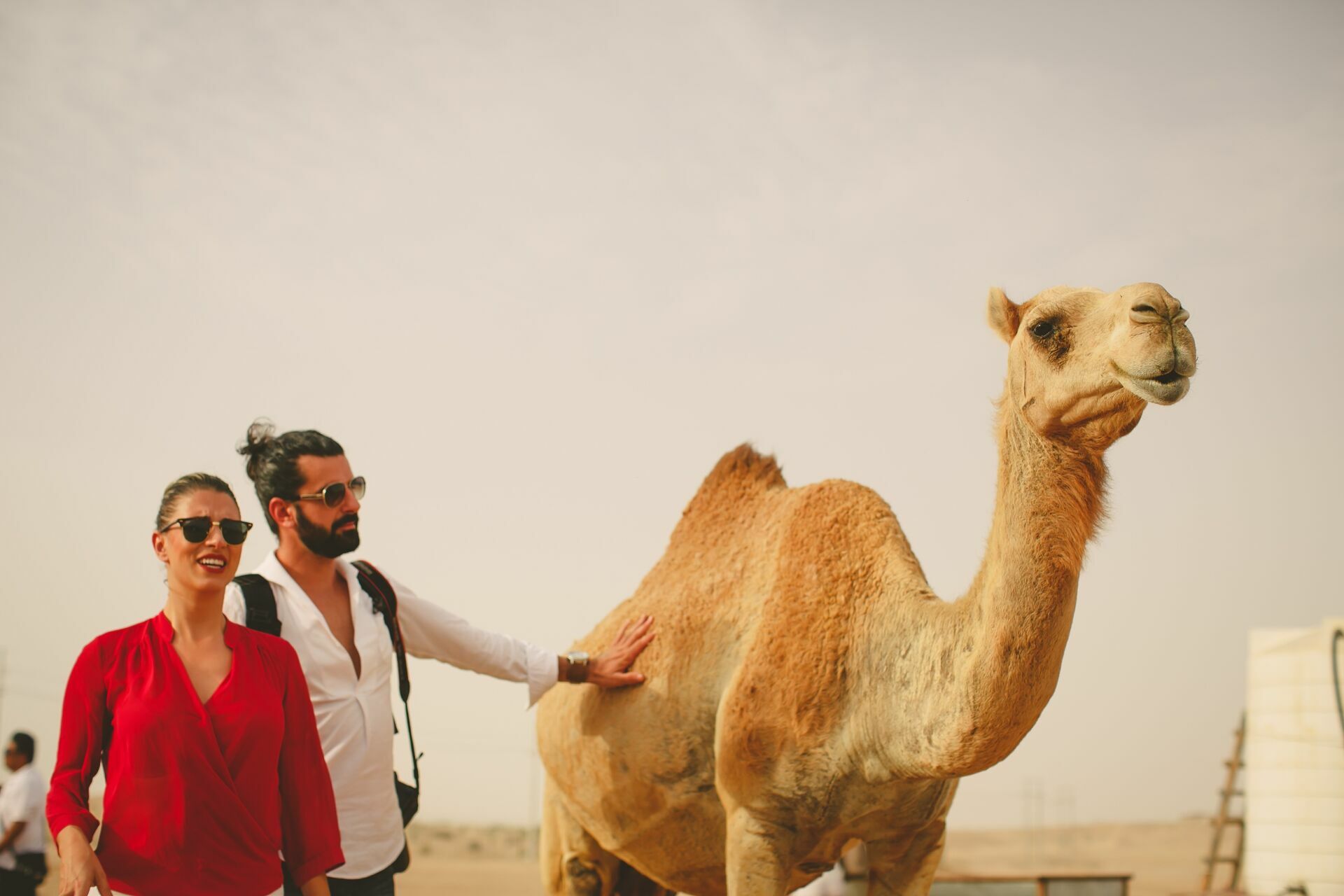 Foto Casal Cerutti em Dubai - Imagem 106