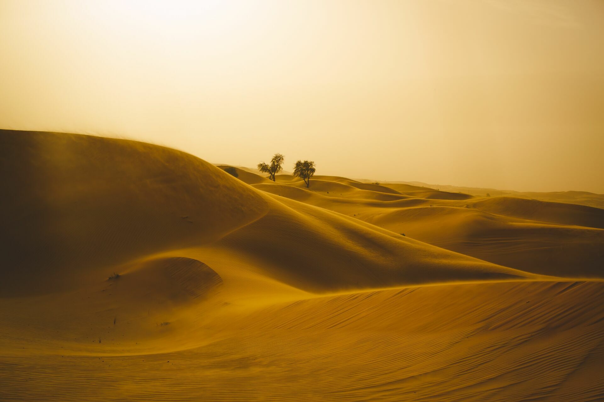 Foto Casal Cerutti em Dubai - Imagem 114