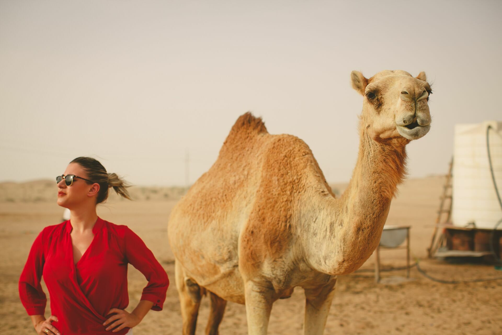 Foto Casal Cerutti em Dubai - Imagem 105