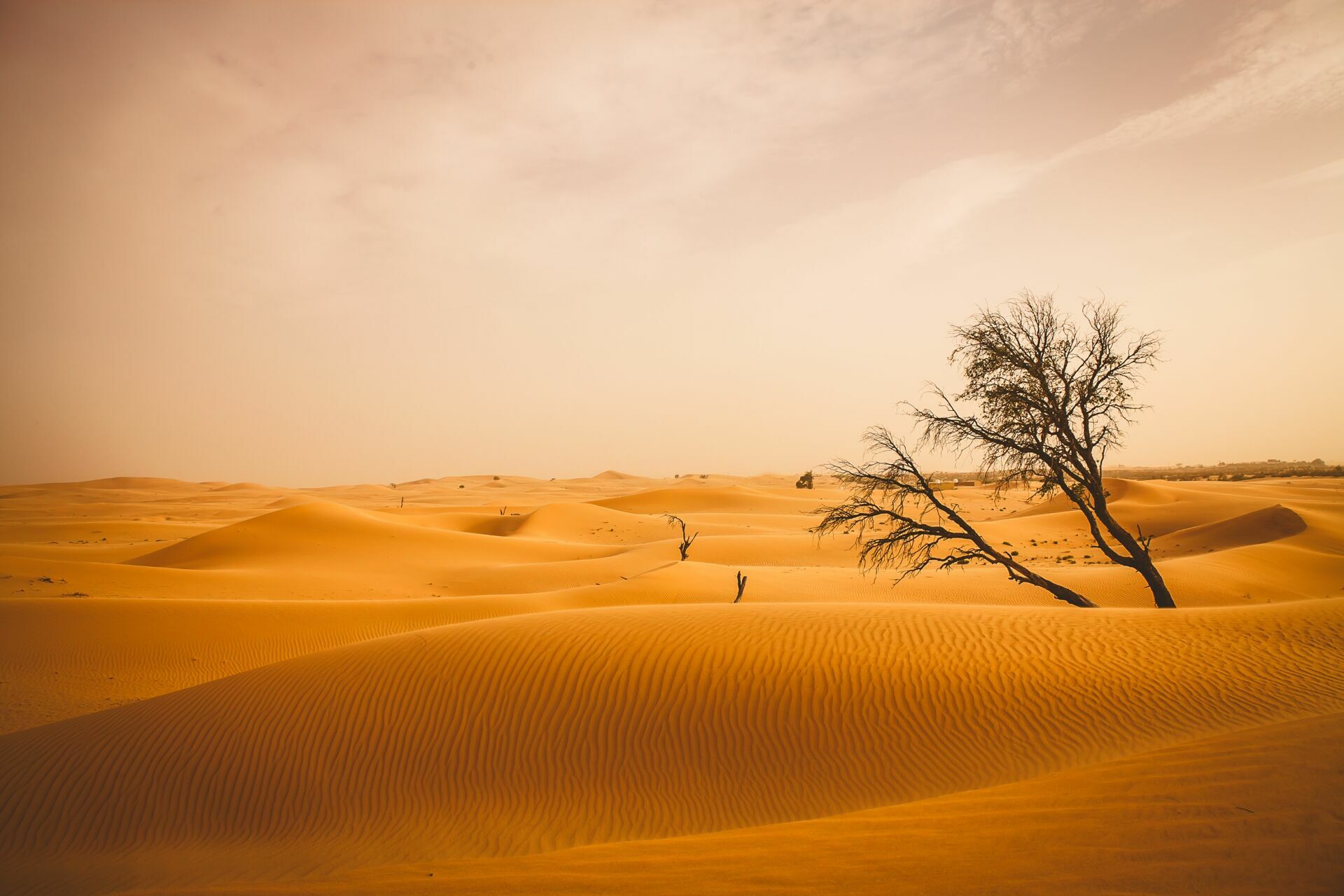 Foto Casal Cerutti em Dubai - Imagem 116