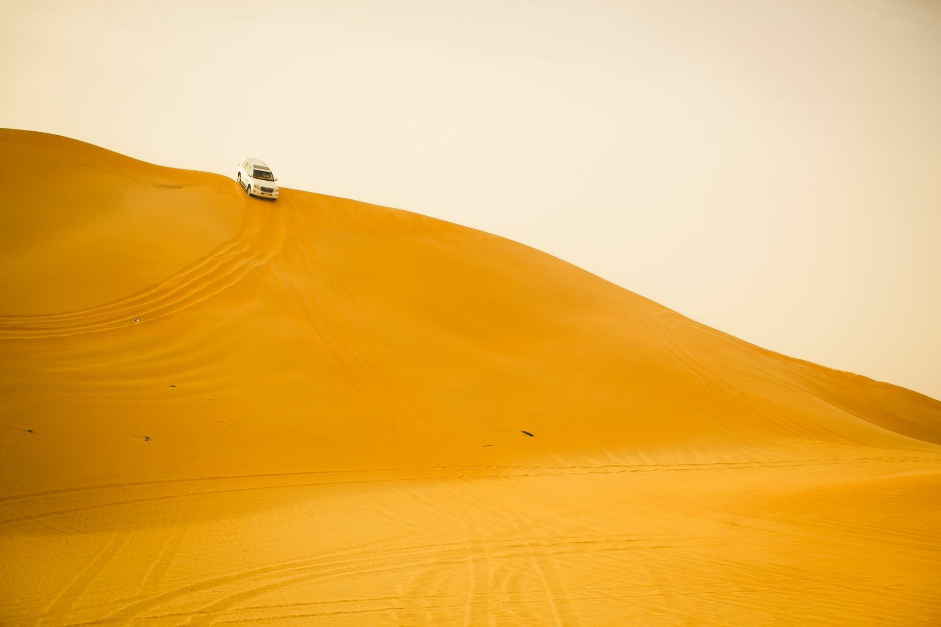 Foto Casal Cerutti em Dubai - Imagem 111