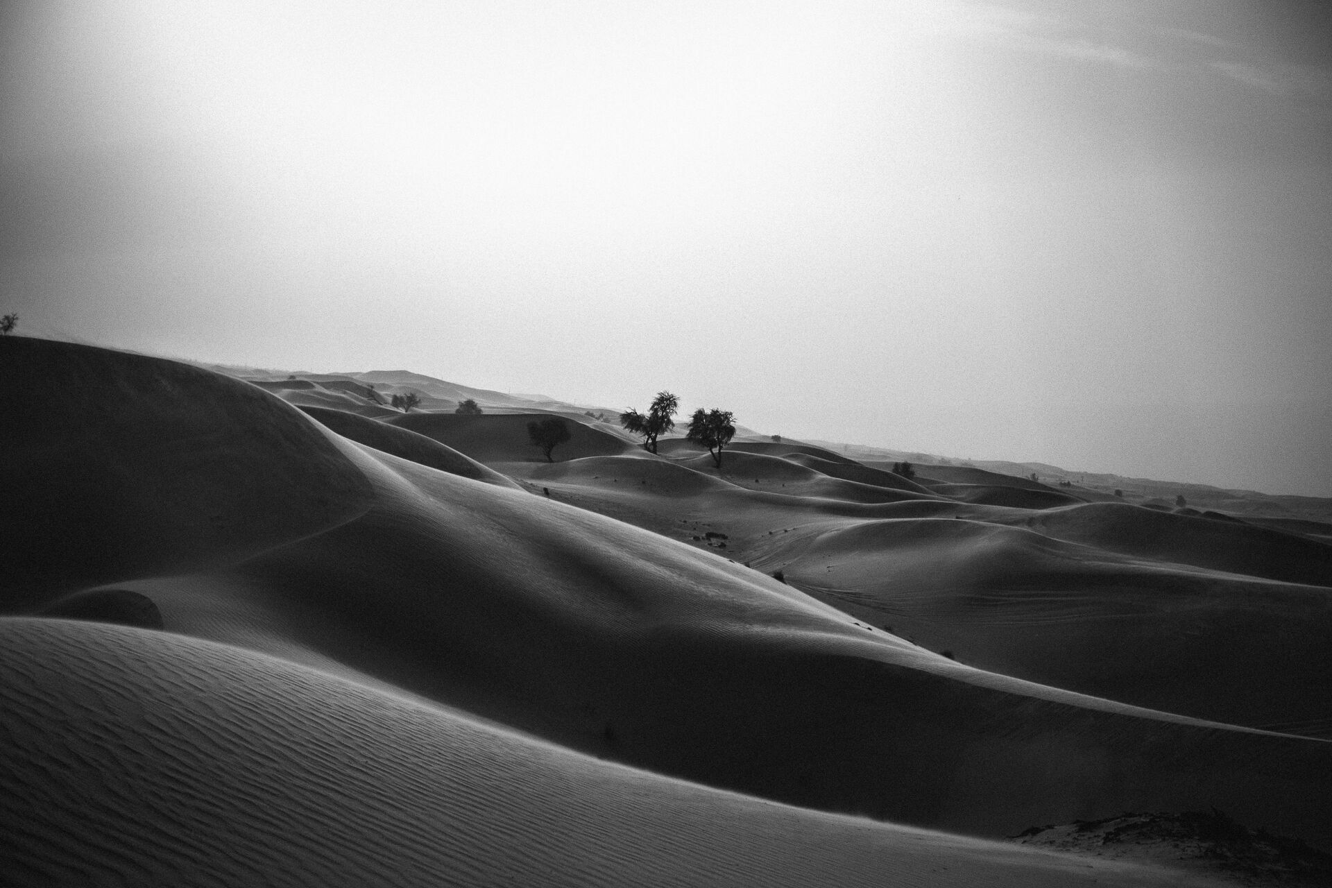 Foto Casal Cerutti em Dubai - Imagem 113