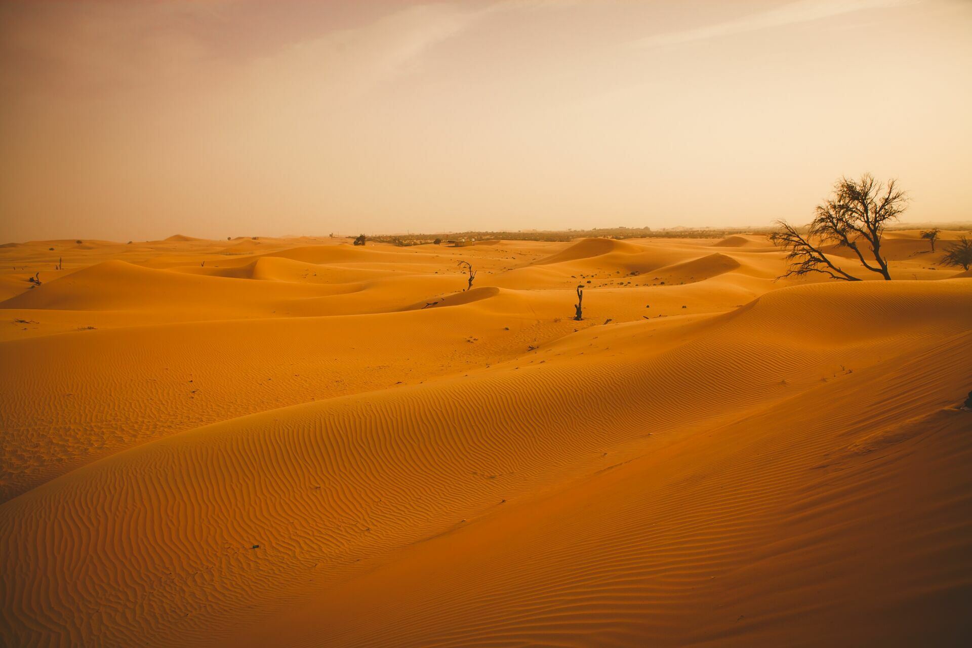 Foto Casal Cerutti em Dubai - Imagem 115