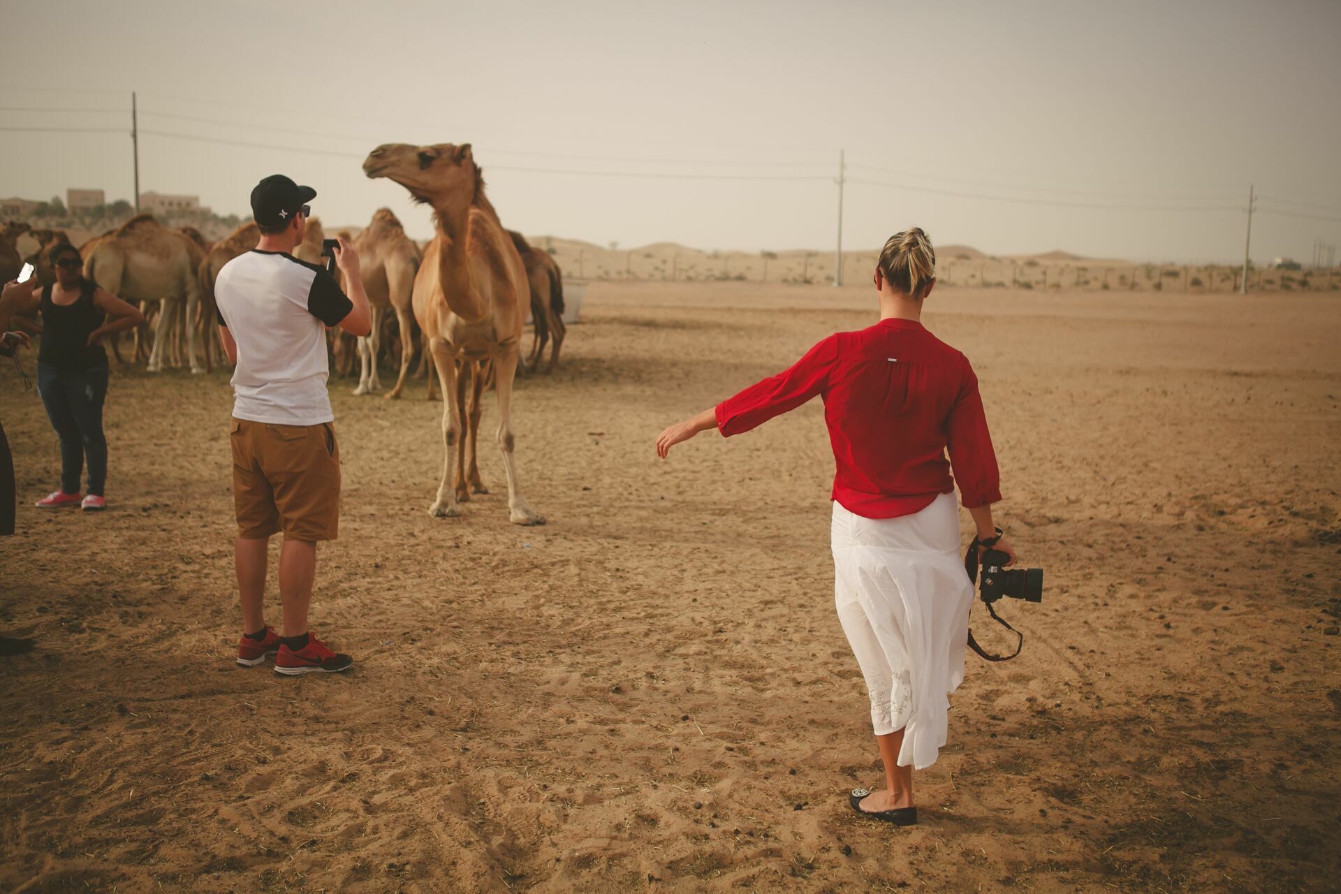 Foto Casal Cerutti em Dubai - Imagem 108