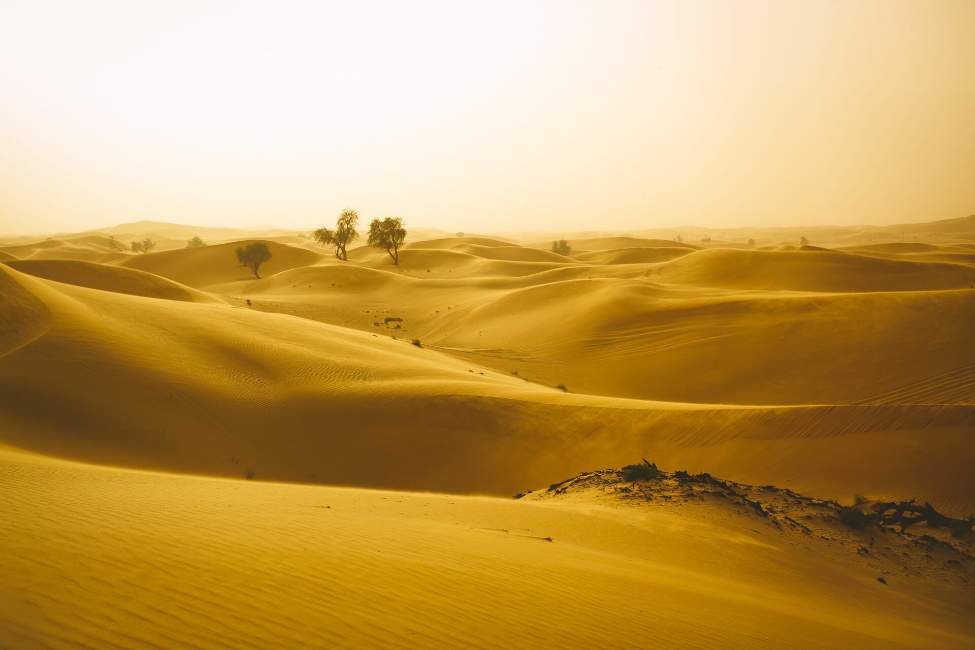 Foto Casal Cerutti em Dubai - Imagem 112