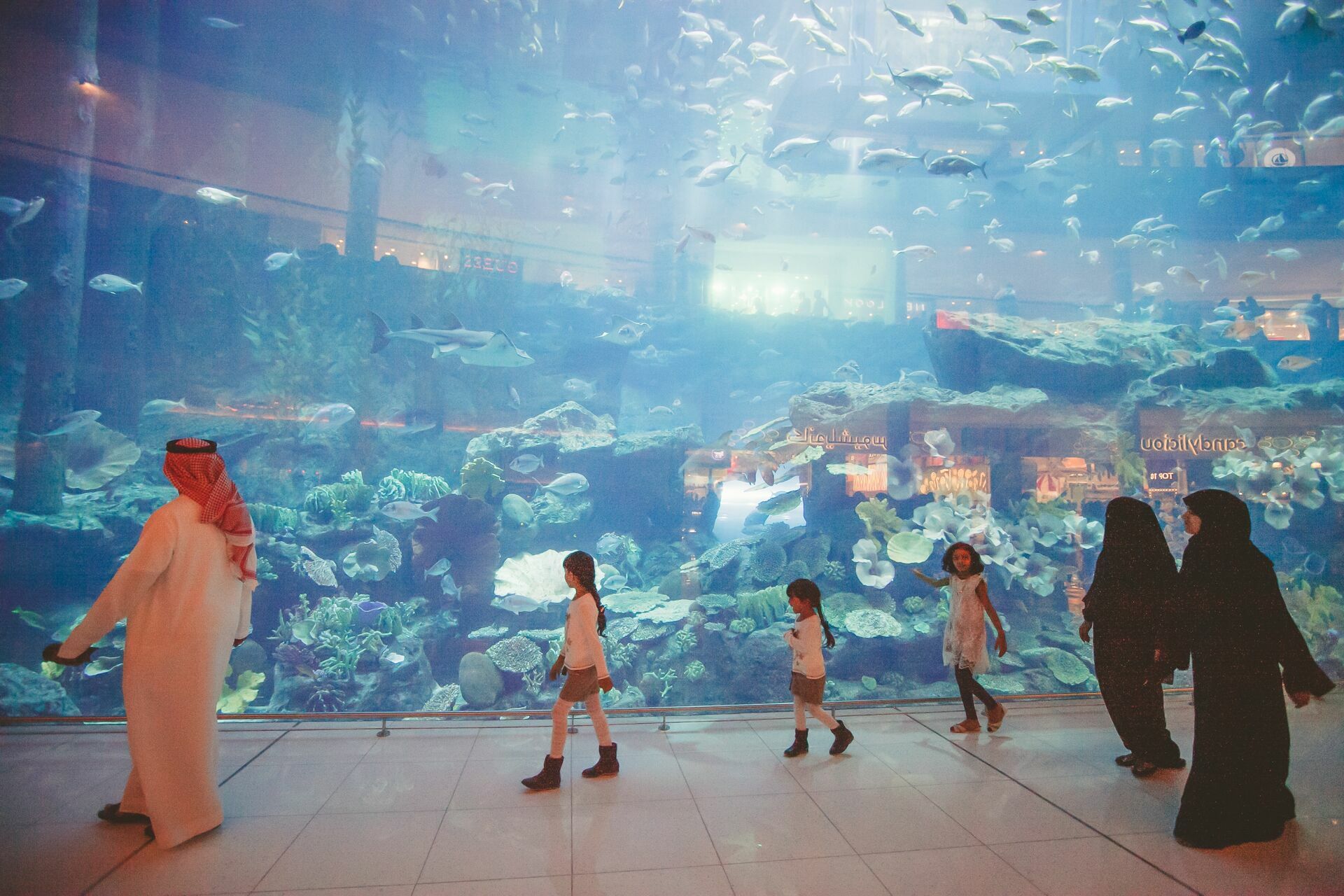 Foto Casal Cerutti em Dubai - Imagem 94