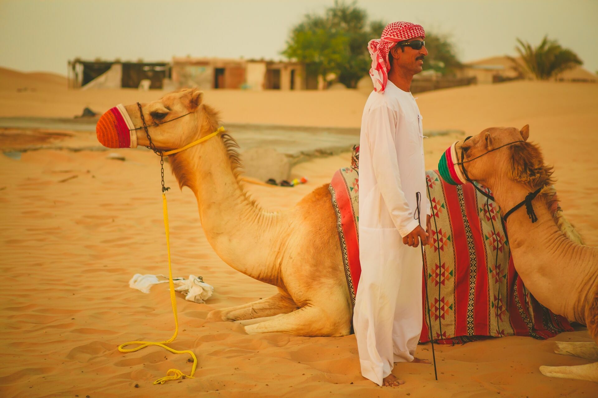 Foto Casal Cerutti em Dubai - Imagem 138