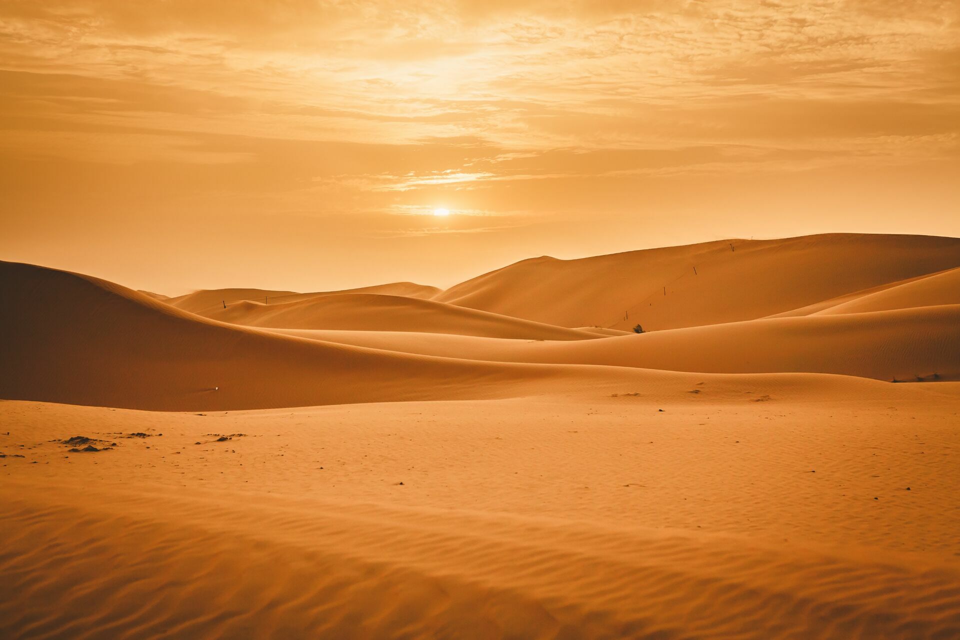 Foto Casal Cerutti em Dubai - Imagem 134