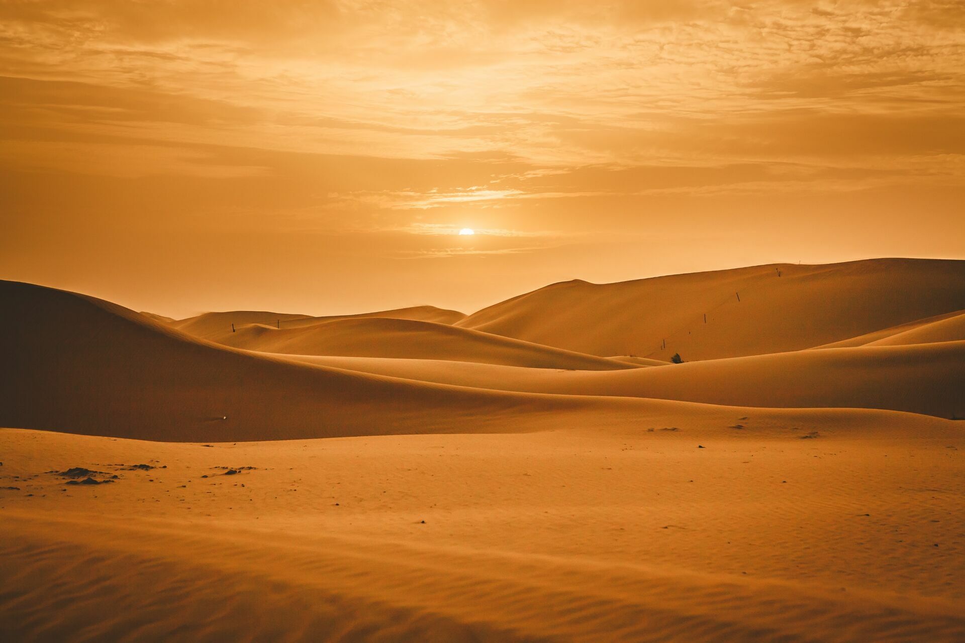 Foto Casal Cerutti em Dubai - Imagem 135