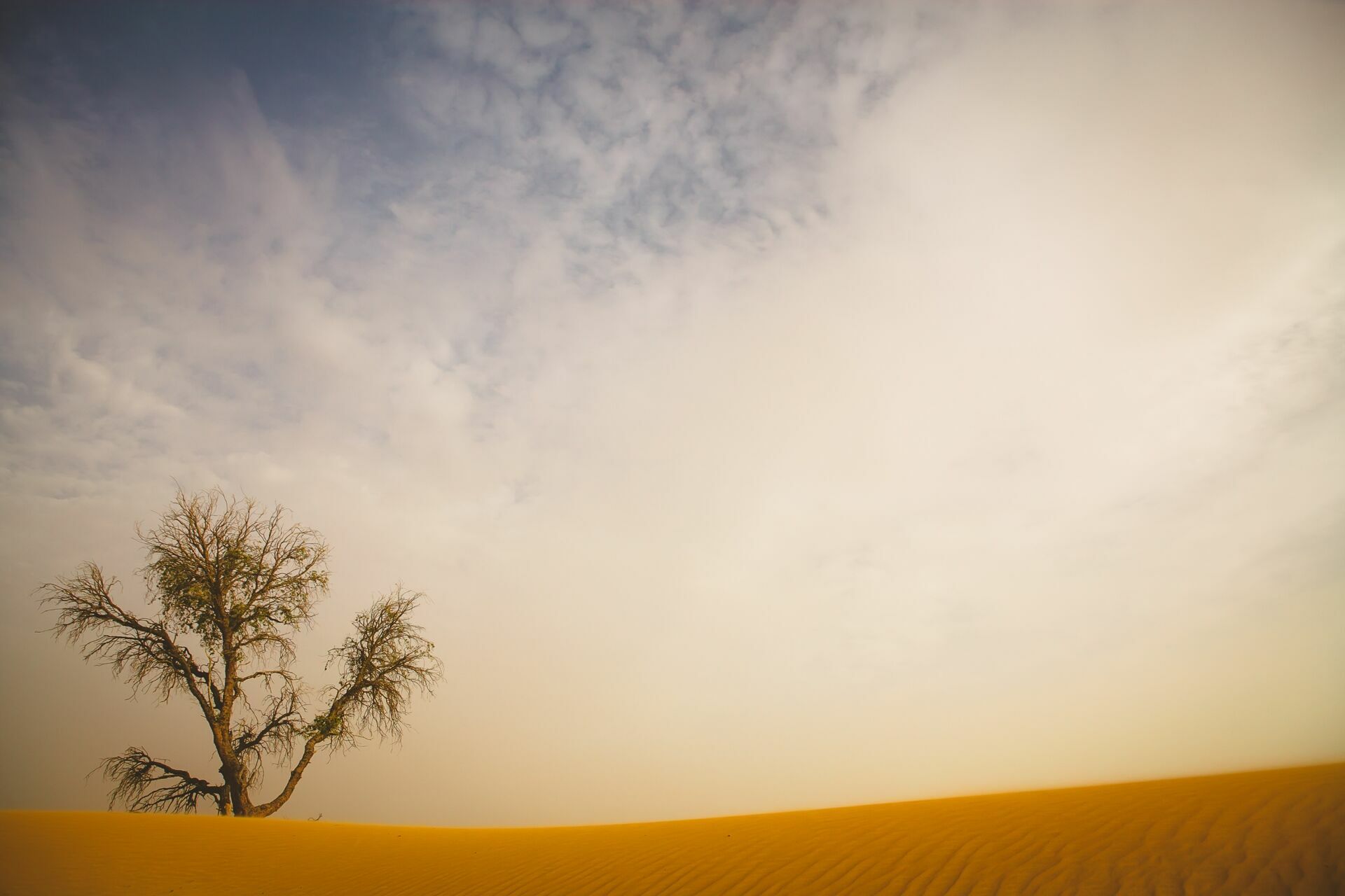 Foto Casal Cerutti em Dubai - Imagem 119