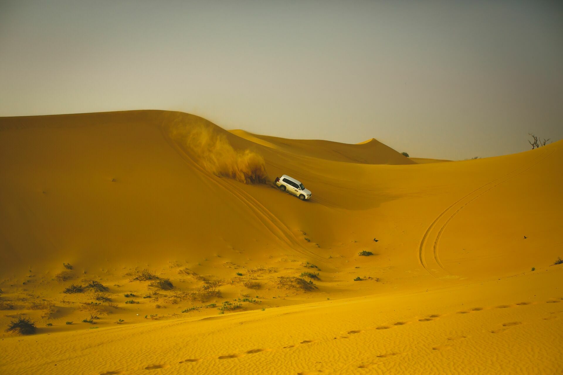 Foto Casal Cerutti em Dubai - Imagem 122