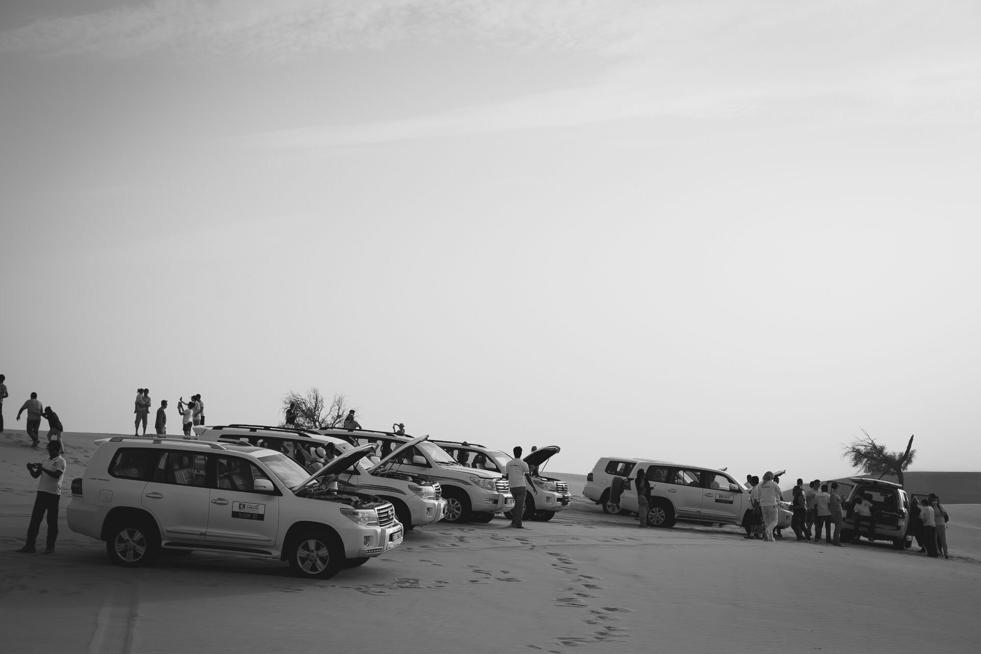 Foto Casal Cerutti em Dubai - Imagem 117