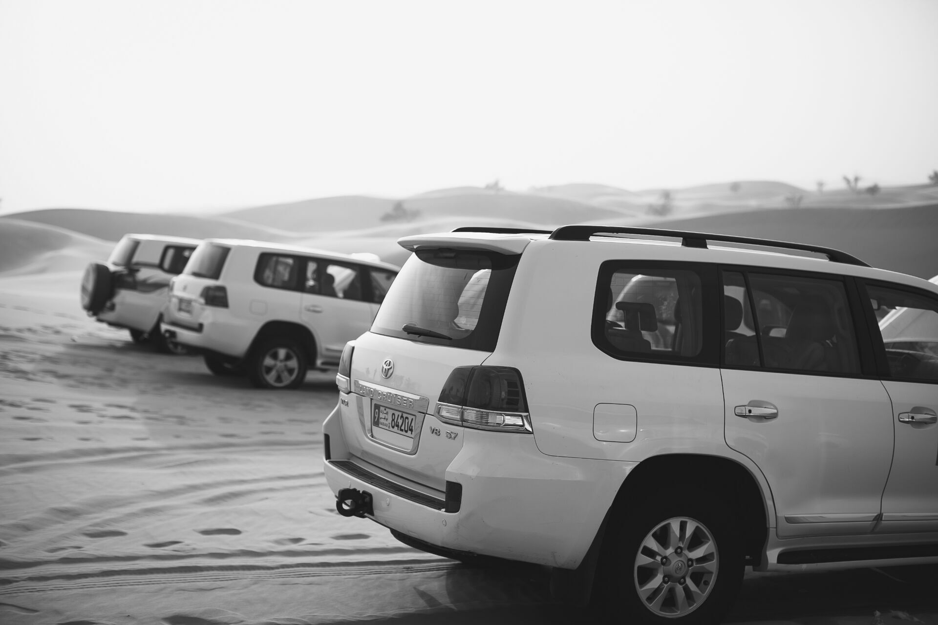 Foto Casal Cerutti em Dubai - Imagem 118