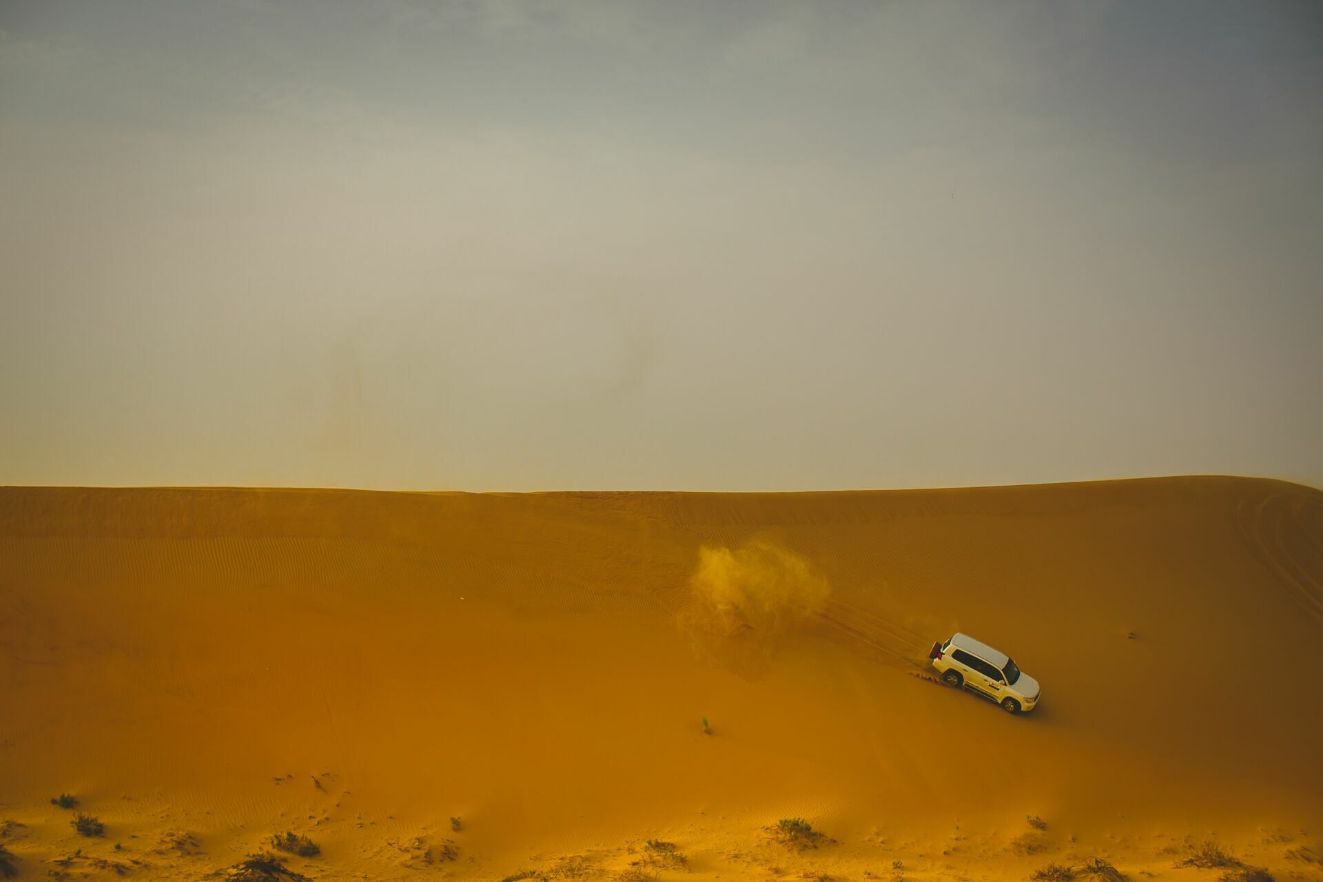 Foto Casal Cerutti em Dubai - Imagem 125