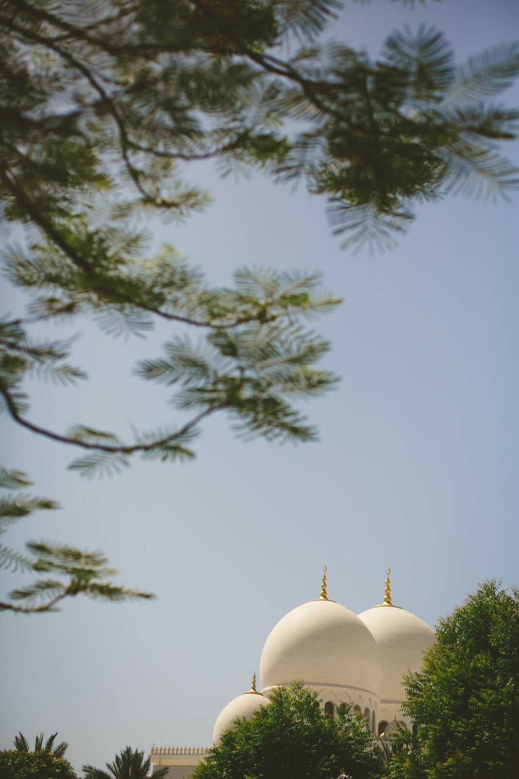 Foto Casal Cerutti em Dubai - Imagem 179