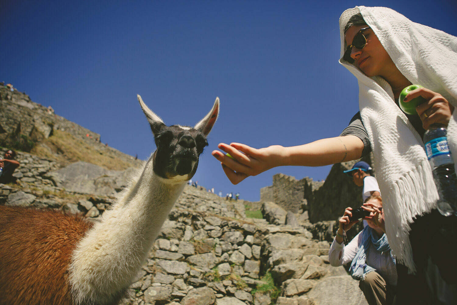 Foto Casal Cerutti em Machu Picchu - Imagem 31