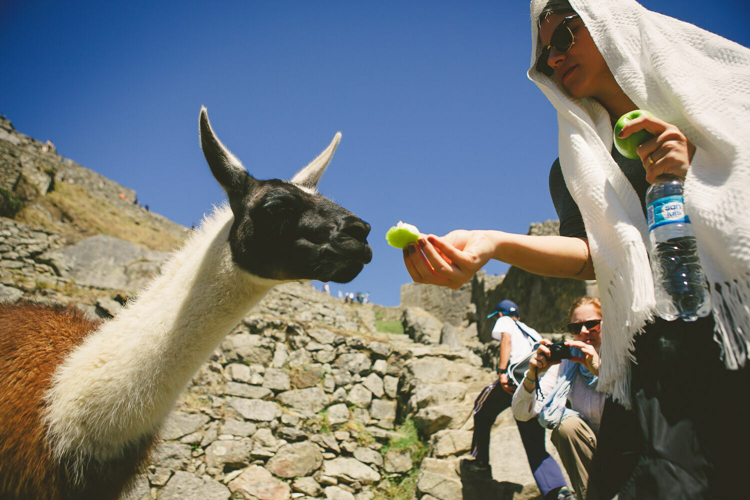 Foto Casal Cerutti em Machu Picchu - Imagem 32