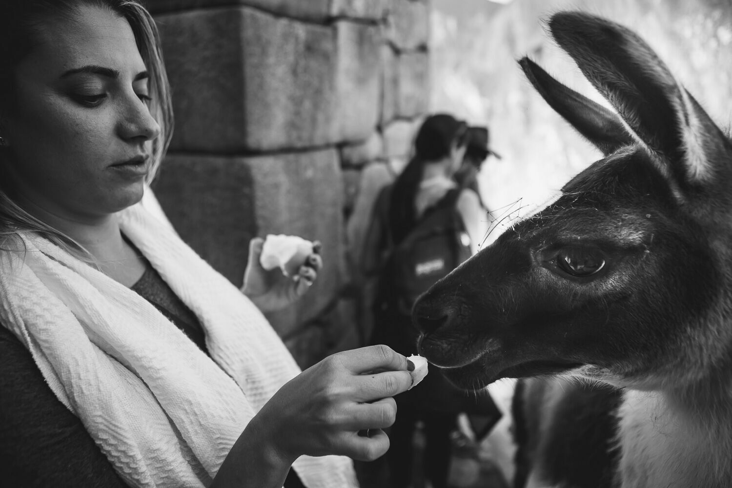Foto Casal Cerutti em Machu Picchu - Imagem 72