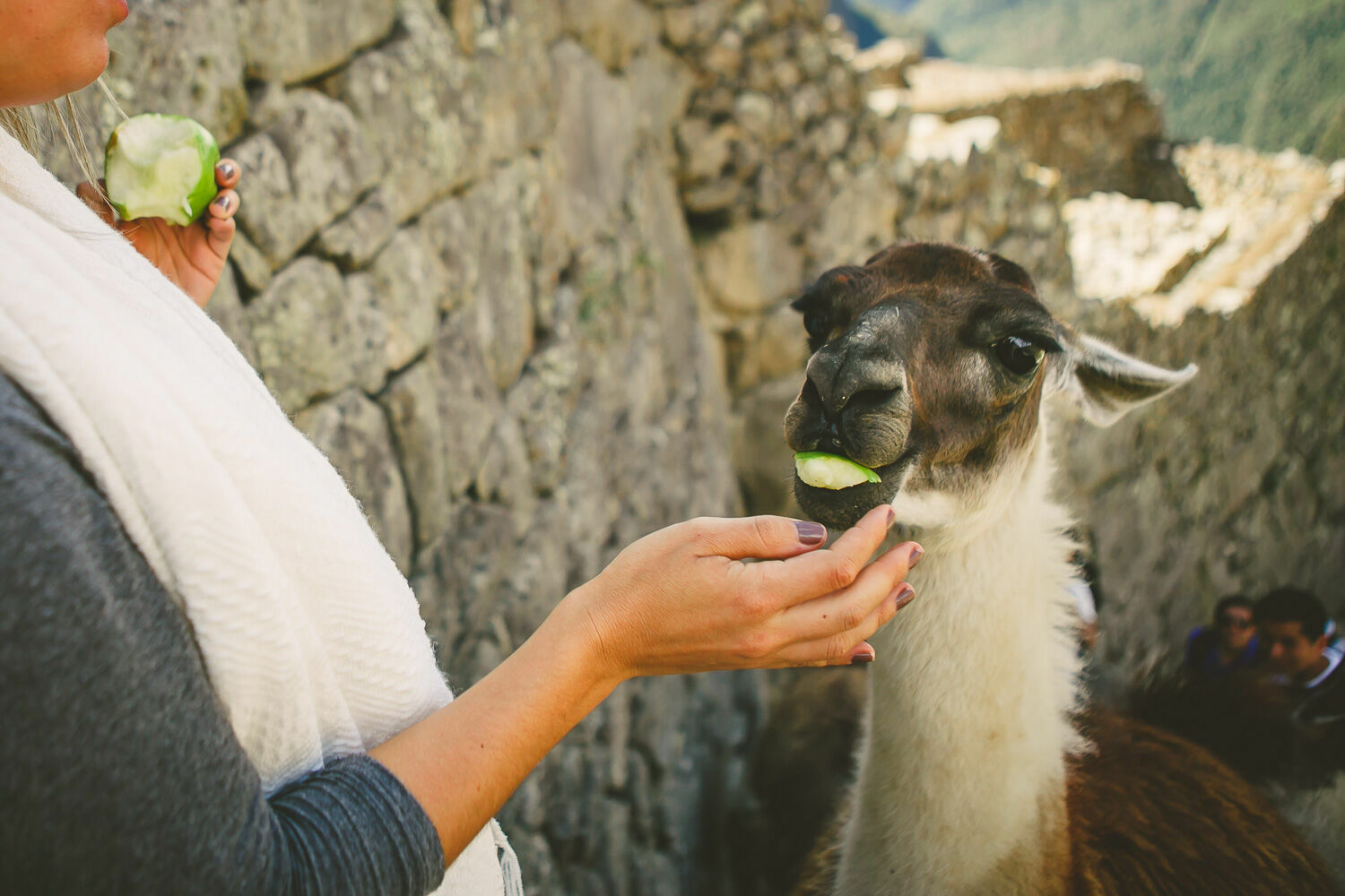 Foto Casal Cerutti em Machu Picchu - Imagem 70