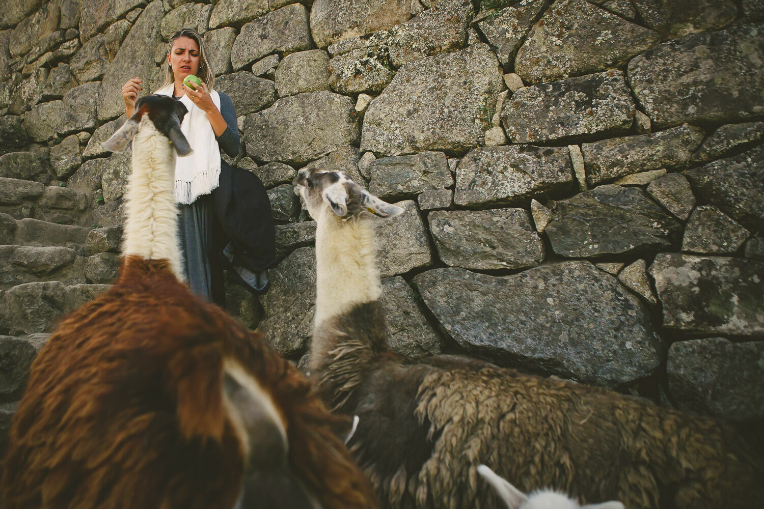 Foto Casal Cerutti em Machu Picchu - Imagem 67