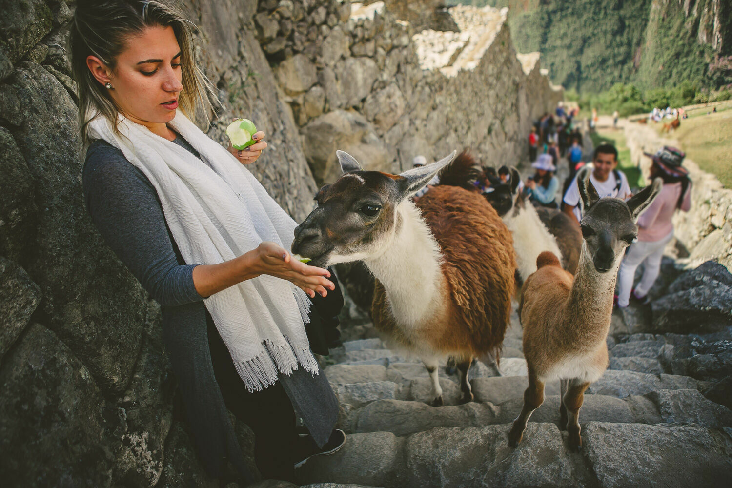 Foto Casal Cerutti em Machu Picchu - Imagem 69