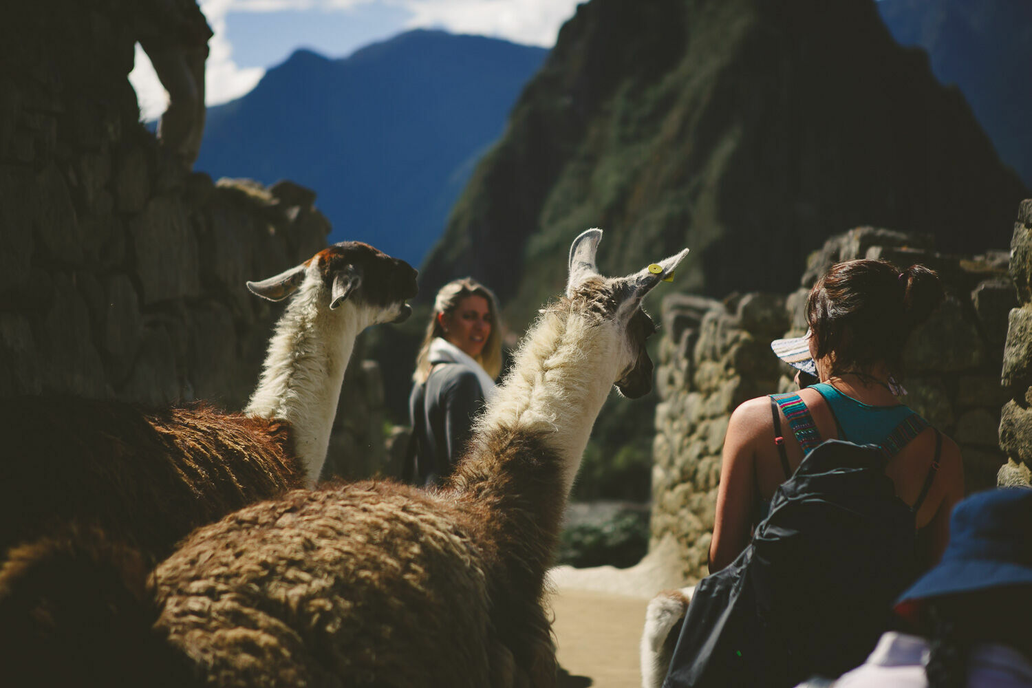 Foto Casal Cerutti em Machu Picchu - Imagem 76