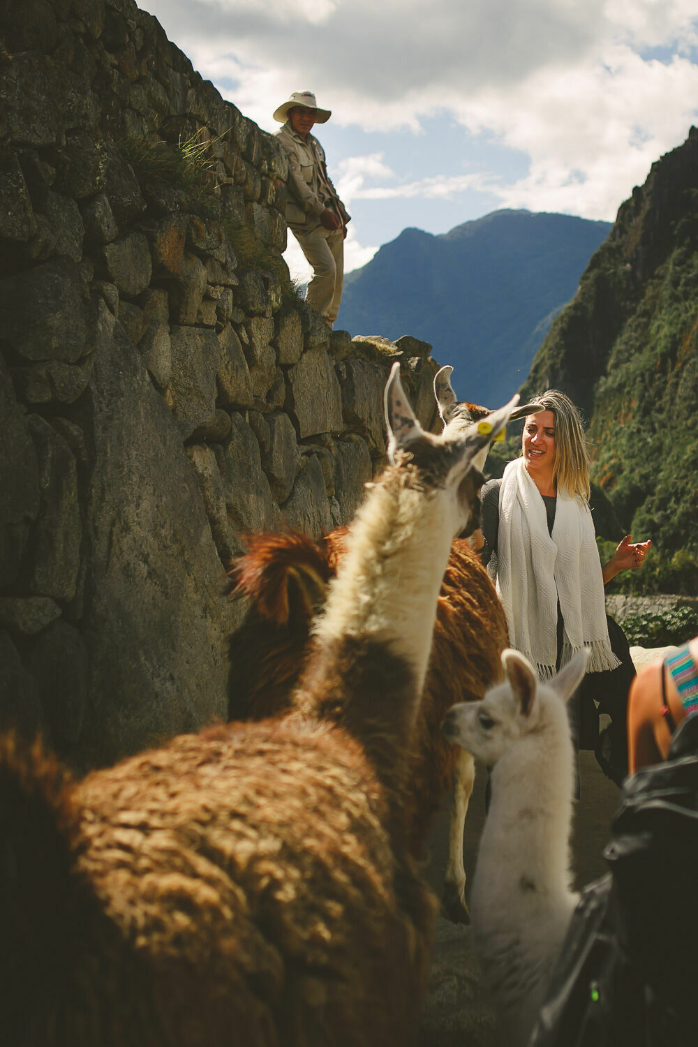 Foto Casal Cerutti em Machu Picchu - Imagem 75