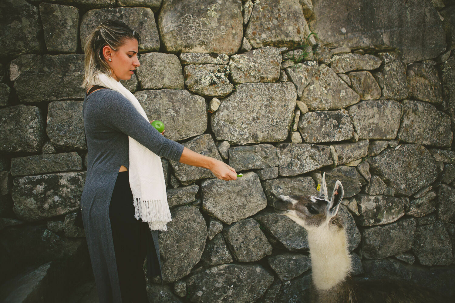 Foto Casal Cerutti em Machu Picchu - Imagem 66