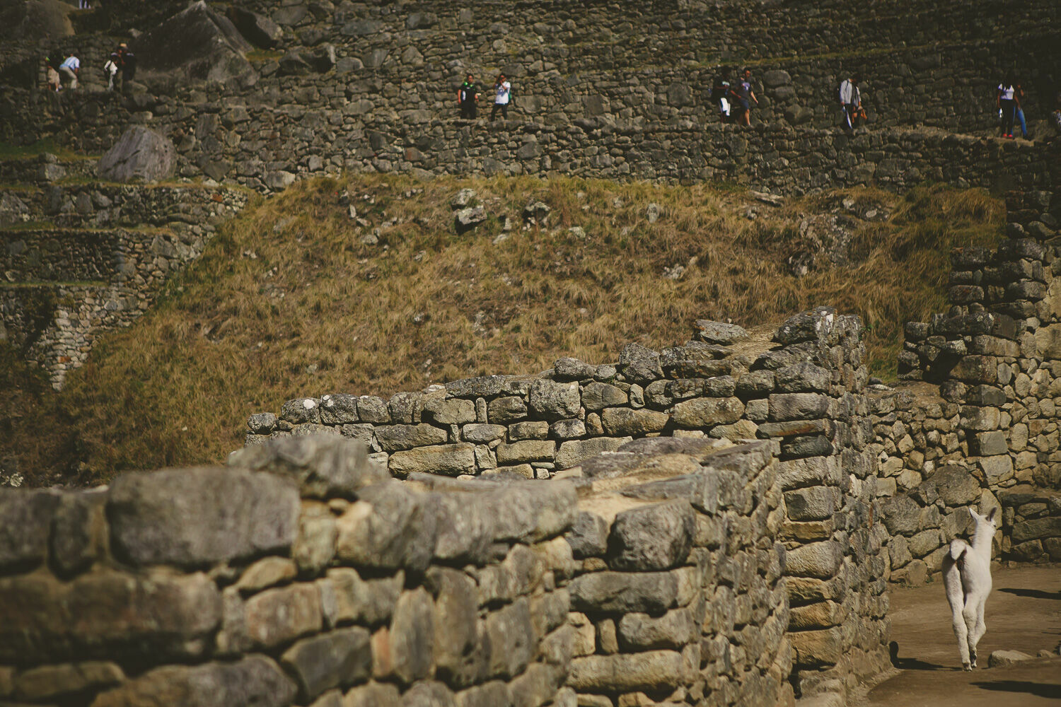 Foto Casal Cerutti em Machu Picchu - Imagem 78