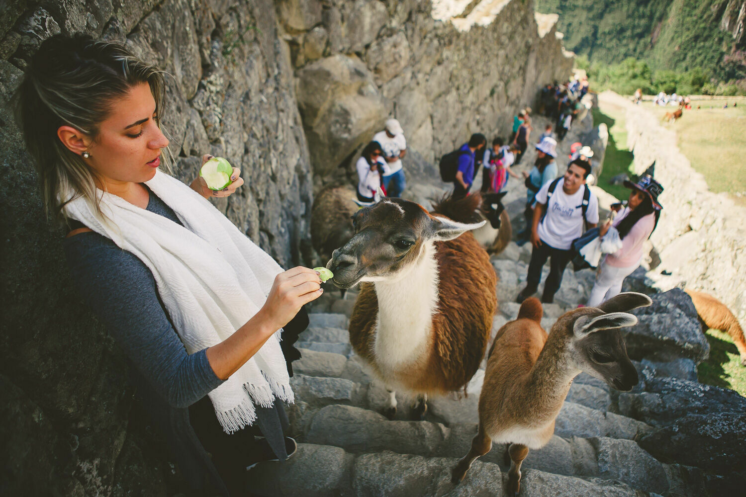 Foto Casal Cerutti em Machu Picchu - Imagem 68