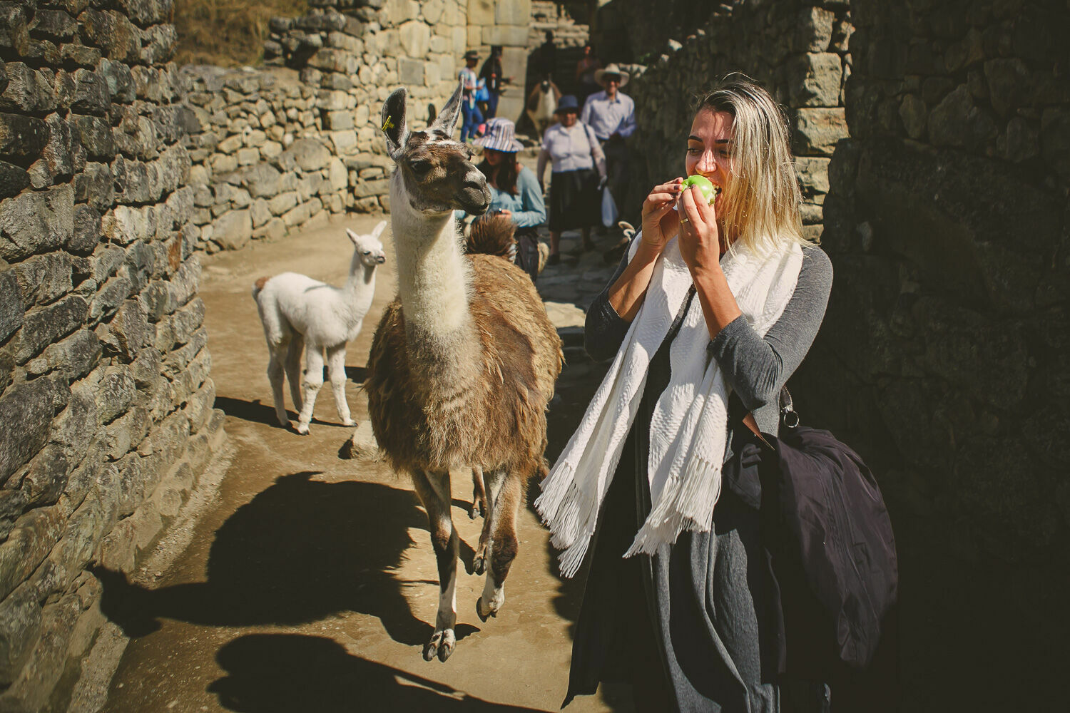 Foto Casal Cerutti em Machu Picchu - Imagem 73