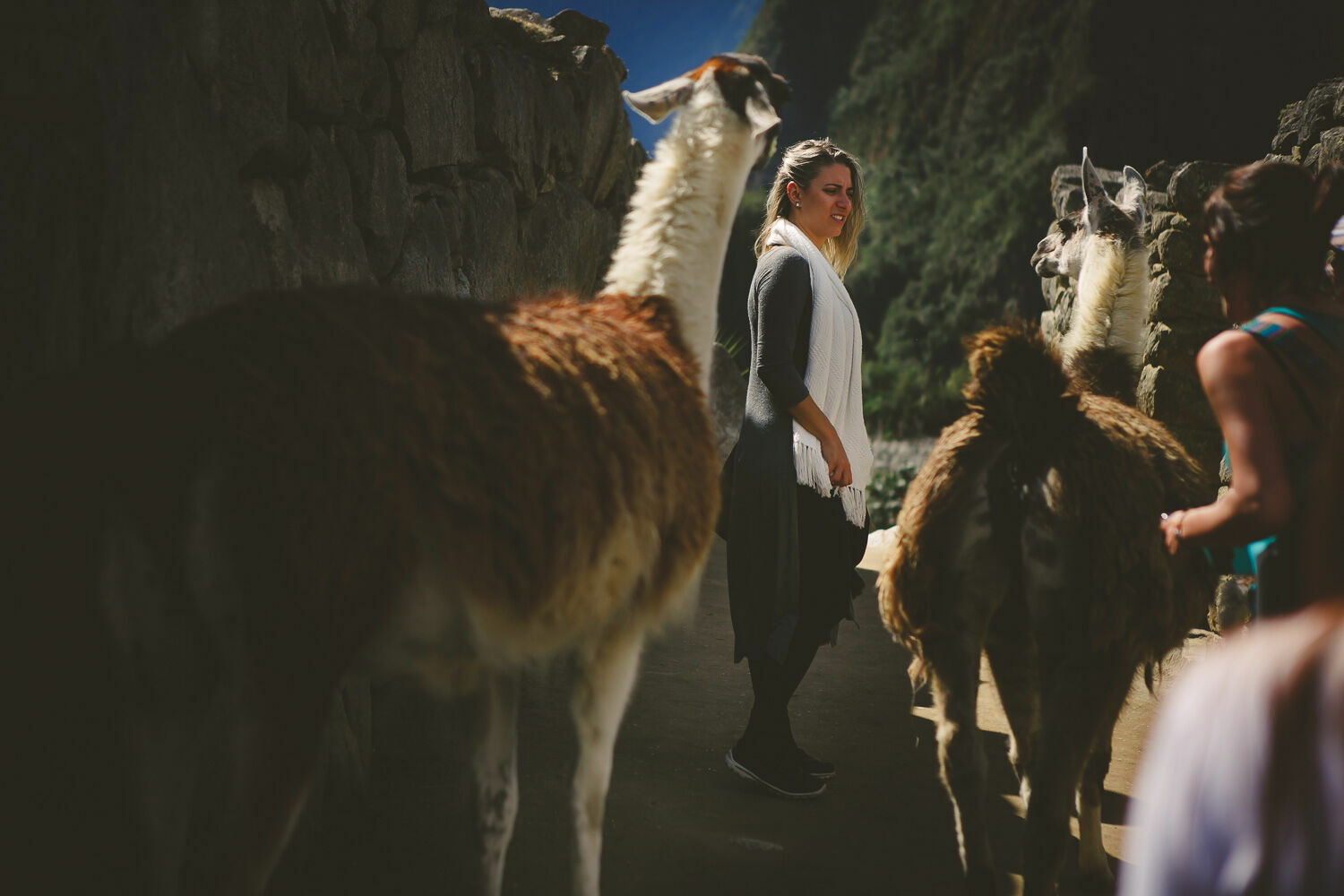 Foto Casal Cerutti em Machu Picchu - Imagem 77
