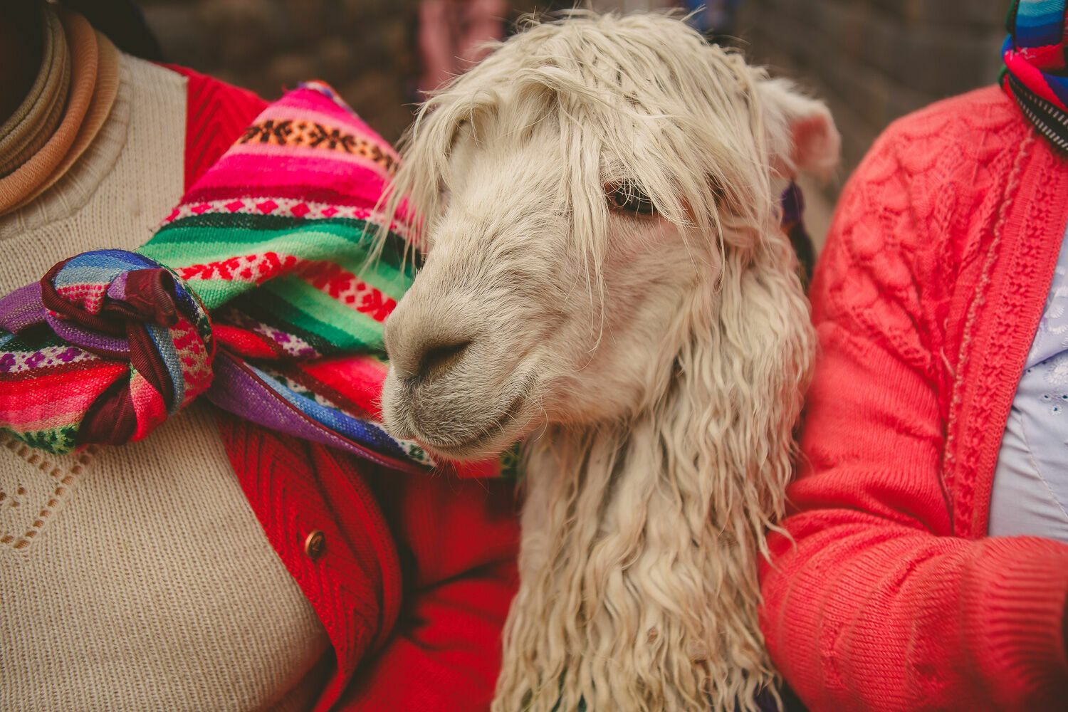 Foto Casal Cerutti no Peru - Imagem 73