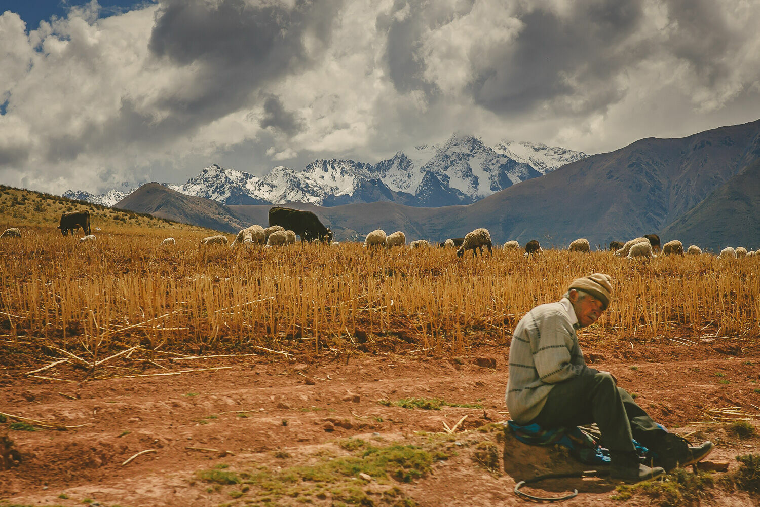 Foto Casal Cerutti no Peru - Imagem 124