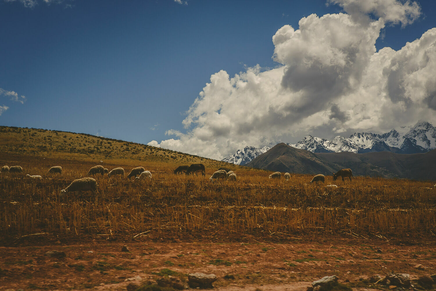 Foto Casal Cerutti no Peru - Imagem 125