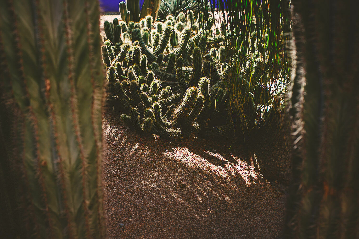 Foto Casal Cerutti em Marrakesh - Imagem 13