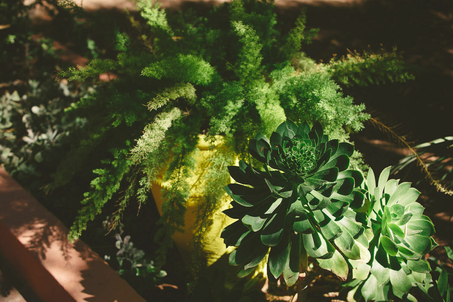 Foto Casal Cerutti em Marrakesh - Imagem 19